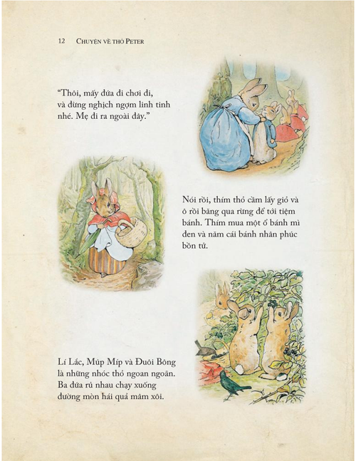 Ra mắt bộ sách về chú Thỏ Peter huyền thoại - ảnh 4